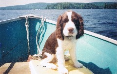 Mac as Puppy in boat